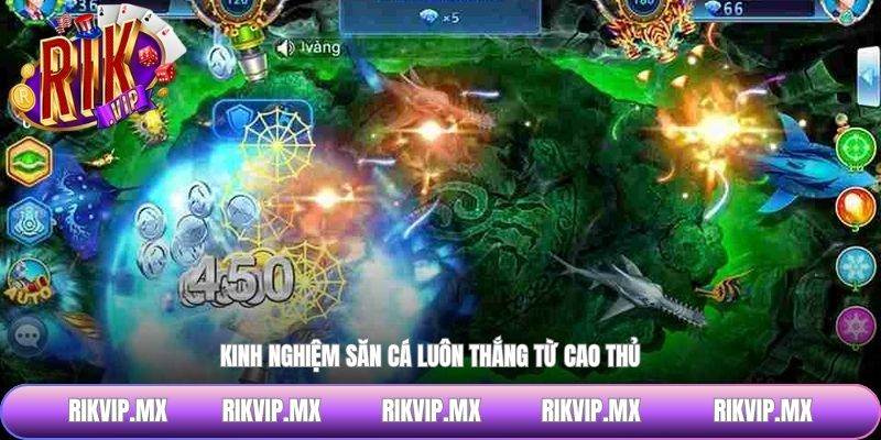 Kinh nghiệm săn cá luôn thắng từ cao thủ