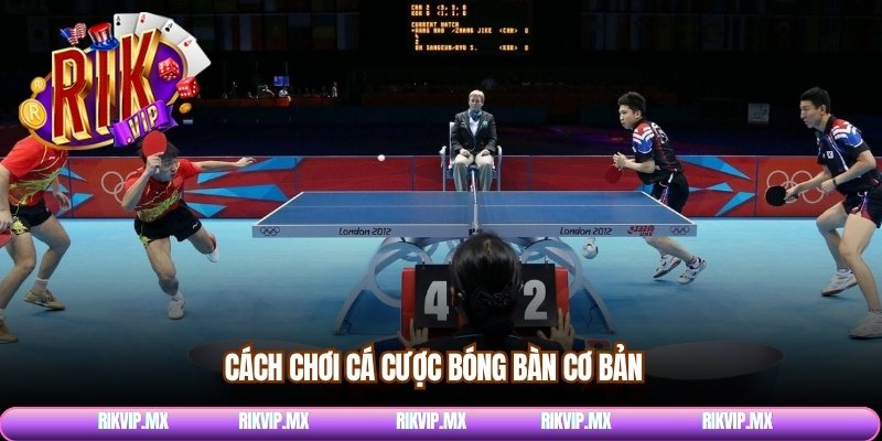 Cách chơi cá cược bóng bàn cơ bản