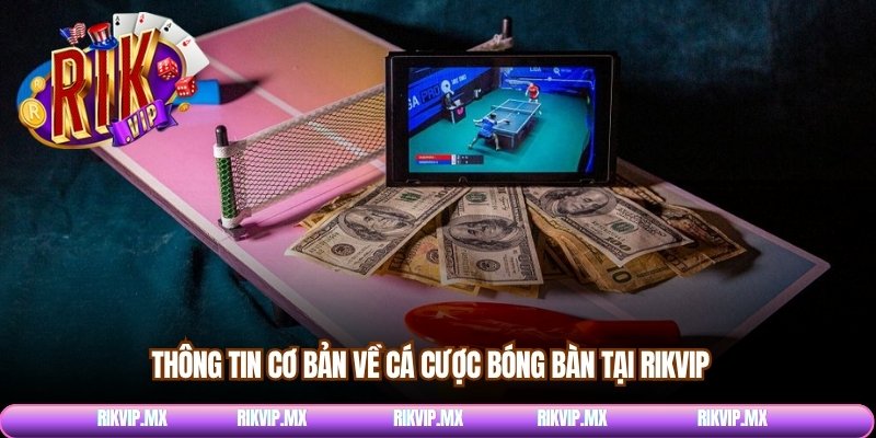 Thông tin cơ bản về cá cược bóng bàn tại Rikvip