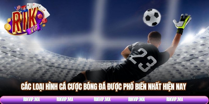 Các loại hình cá cược bóng đá được phổ biến nhất hiện nay