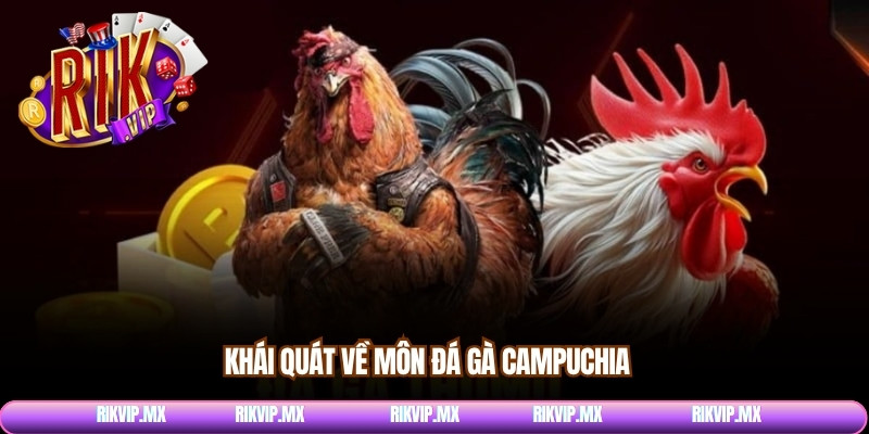 Khái quát về môn đá gà Campuchia